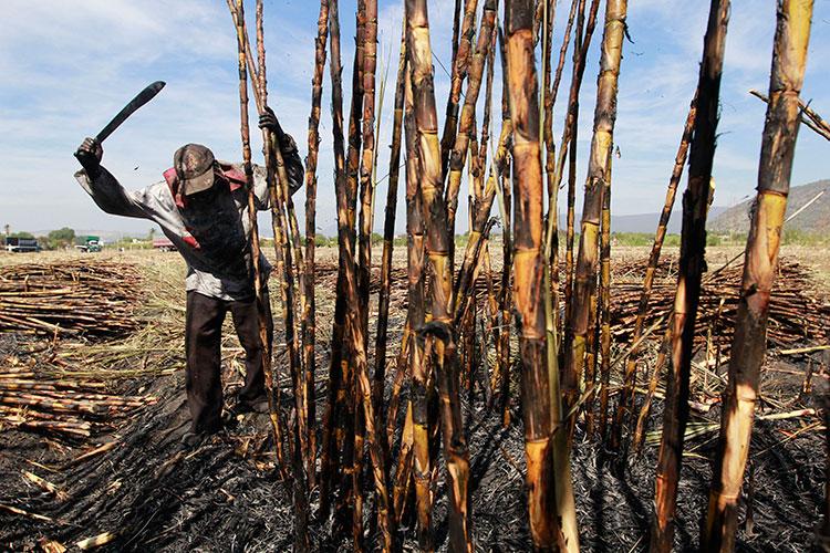 Productores de la CNC toman ingenio azucarero de Atencingo