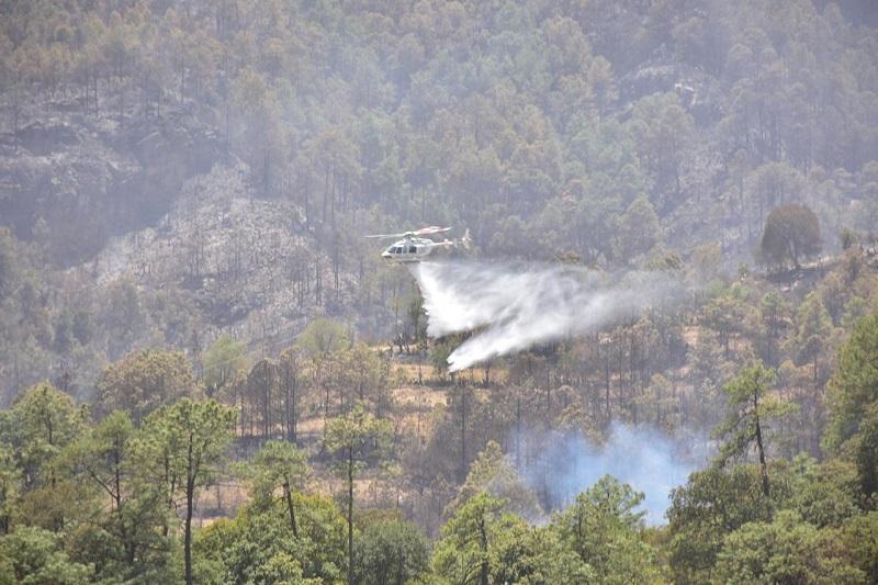 Incendios intencionales o ganaderos generan el 91% de daños en Puebla