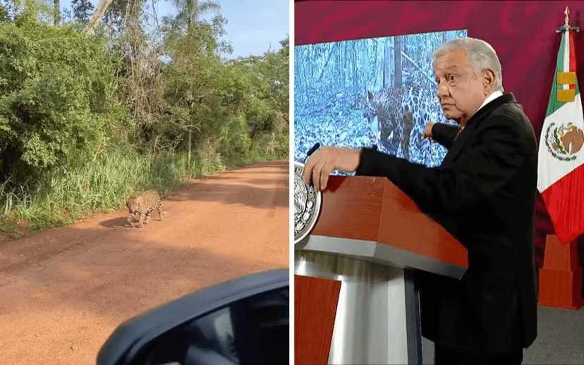 VIDEO AMLO desmiente afectaciones de Tren Maya con video grabado en Brasil