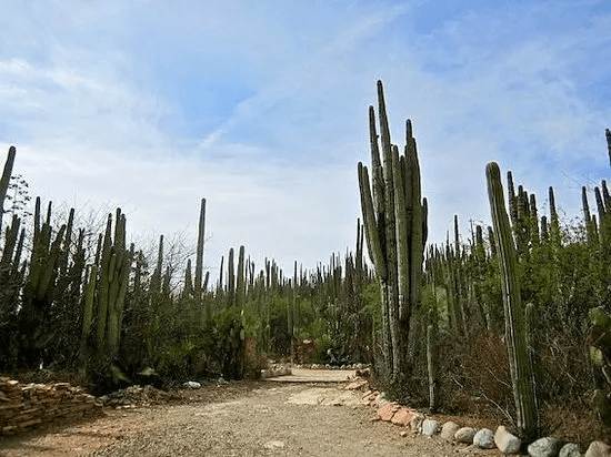 Por invasión de territorio, son retenidas dos personas