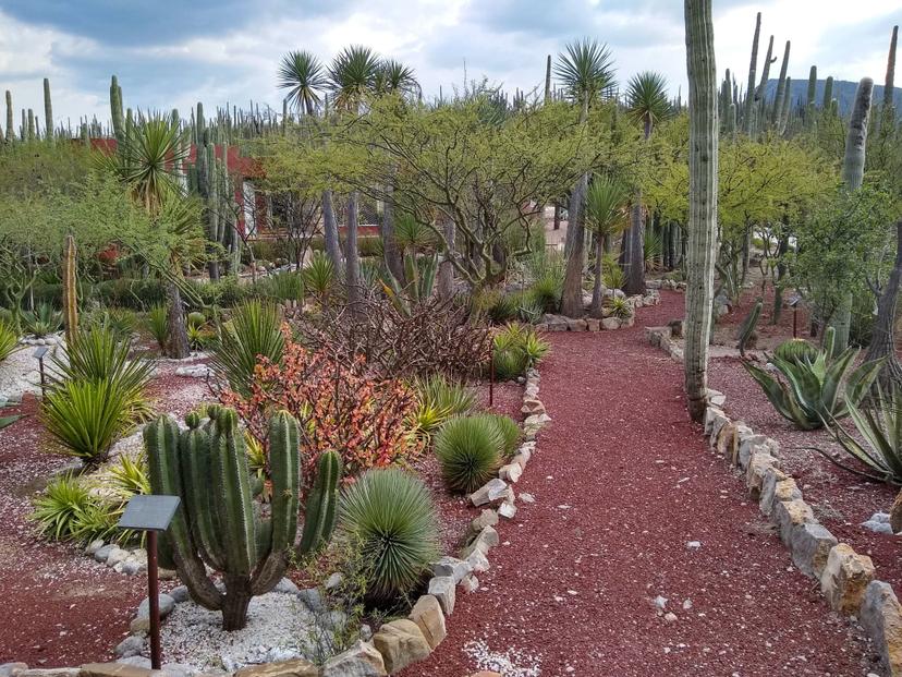 Cierre de zona arqueológica y jardín botánico frena reactivación turística en Tehuacán