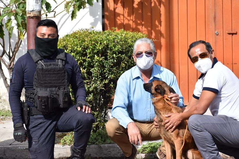 En Tehuacán buscan que funcione de nuevo unidad canina K9 de la policía