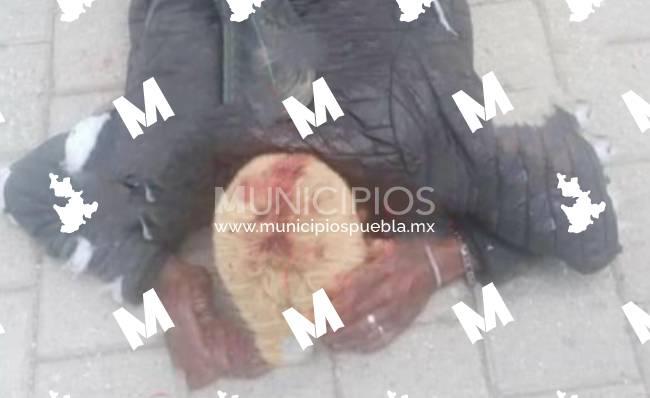 Golpean y amarran a ladrón en fraccionamiento de Amozoc