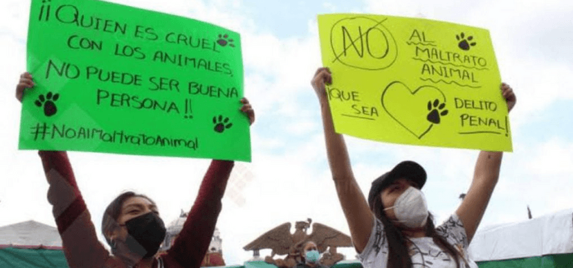 En Tlaxcala protestan contra la nueva ley animal