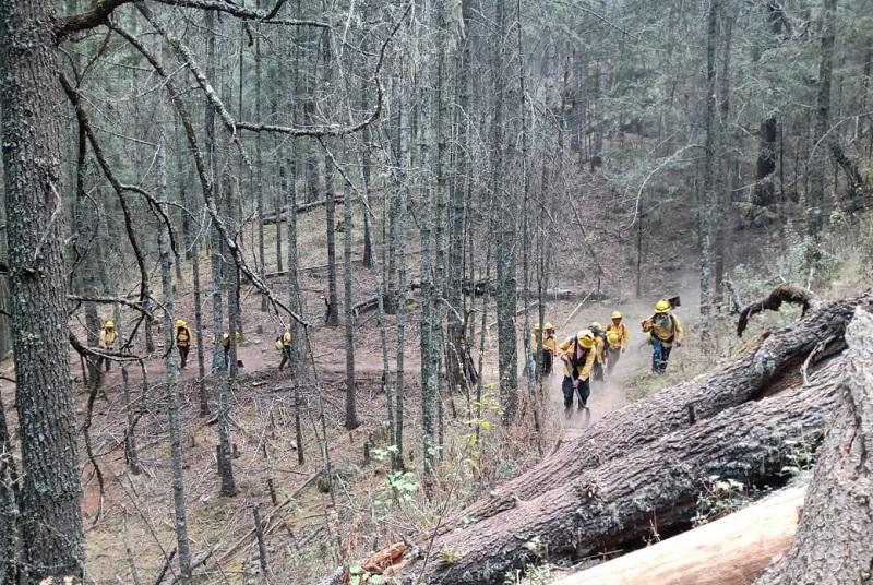 Incendio en Libres, controlado al 95%; están afectadas 260 hectáreas