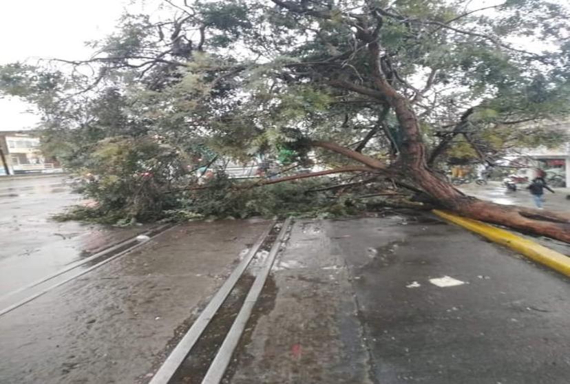 Lluvia, granizo y corte de energía eléctrica, reporte del diluvio de este domingo