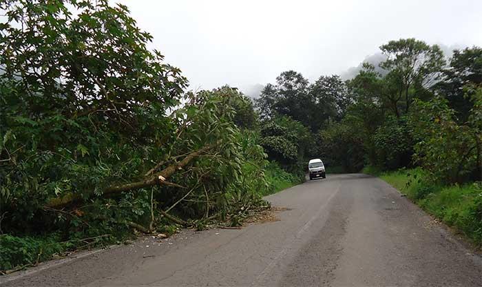 Lluvias dañan carreteras y ponen en peligro a automovilistas