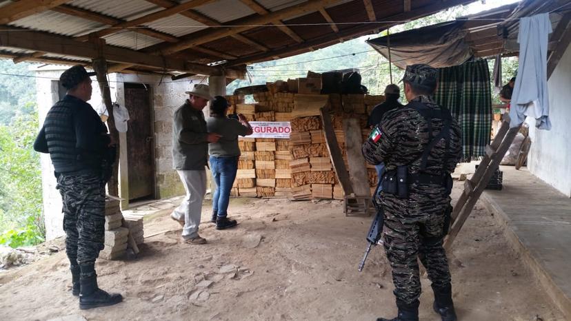 Clausura Profepa bodegas con madera de procedencia ilícita en Zacapoaxtla