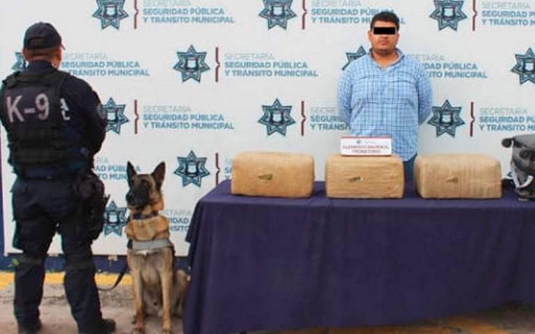 Detienen a sujeto con 21 kilos de marihuana en la CAPU