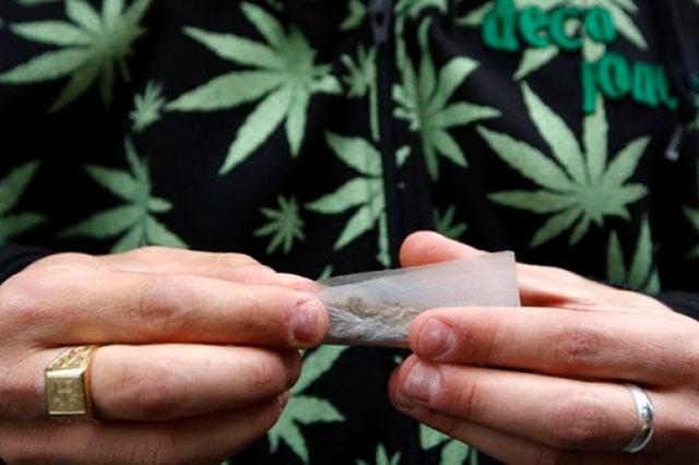 Mariguana, sólo accesible a mayores de edad e inscritos al SAT