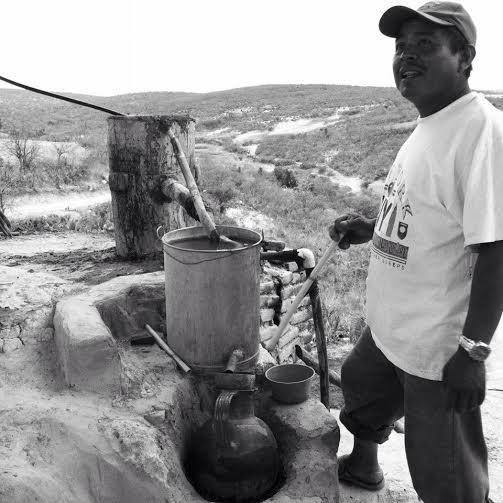 Productores de mezcal de Zoyatla, sin materia prima