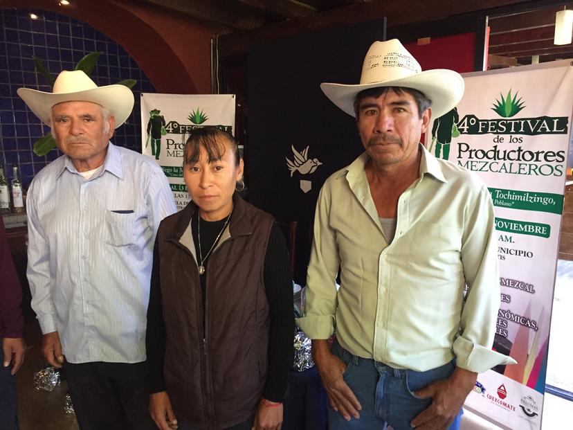 Sobreexplotación de agave pone en riesgo negocio del mezcal