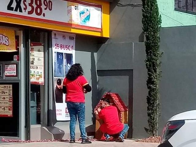 Migajón, el perro que consigue una casa en tienda Oxxo