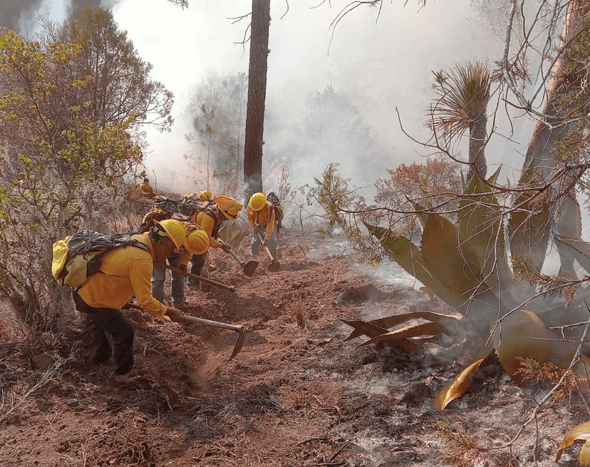 Muere voluntario que combatía incendio forestal en Ixtacamaxtitlán