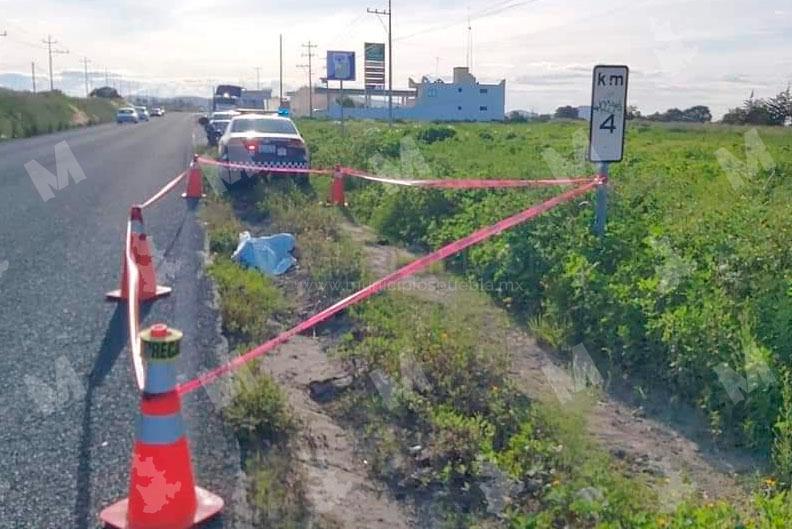 Hallan cadáver a orillas de la carretera federal Amozoc-Oriental