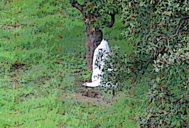 Hallan colgada de árbol a presunta narcomenudista en Molcaxac