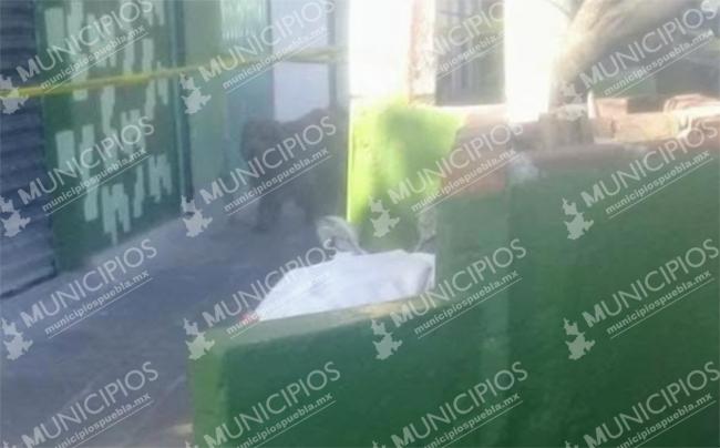 Gisela se recostó en una banca y ya no despertó frente a Zona Militar de Puebla