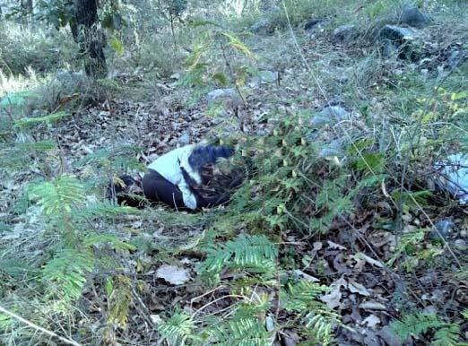 Hallan cuerpo putrefacto de mujer en barranca de Jardines de la Montaña en Puebla