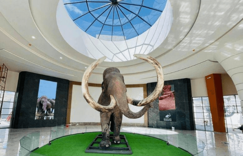 Visitas al Museo Mamut después de inauguración del AIFA