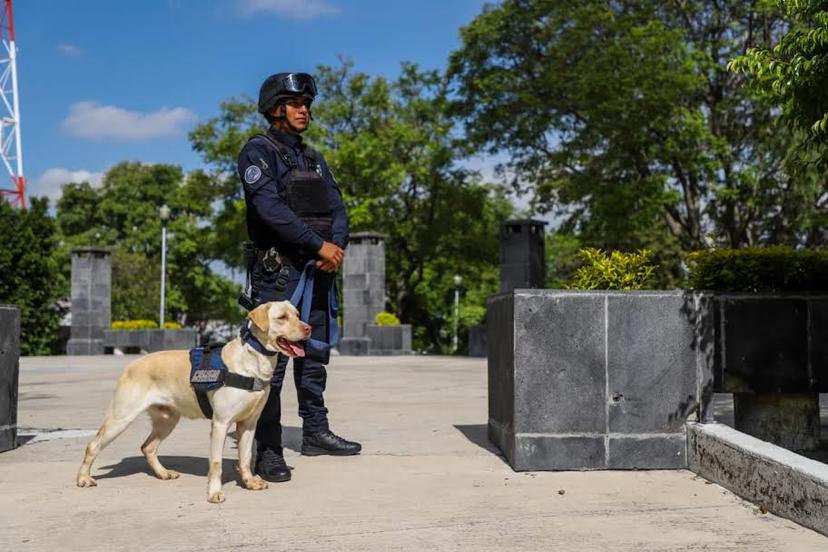 Detienen en la capital poblana a 570 narcomenudistas