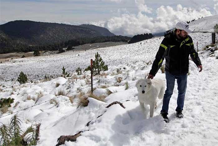 Cientos disfrutan de la nieve en Parque Nacional