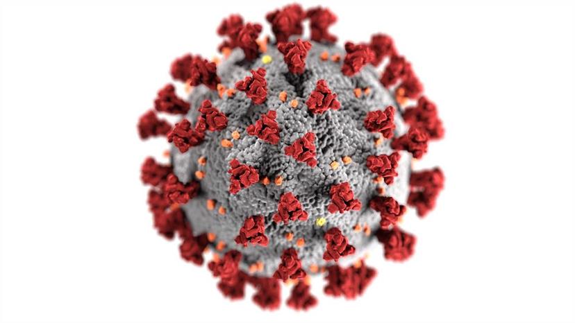 Aumentan hospitalizaciones de jóvenes en Brasil por variante de coronavirus