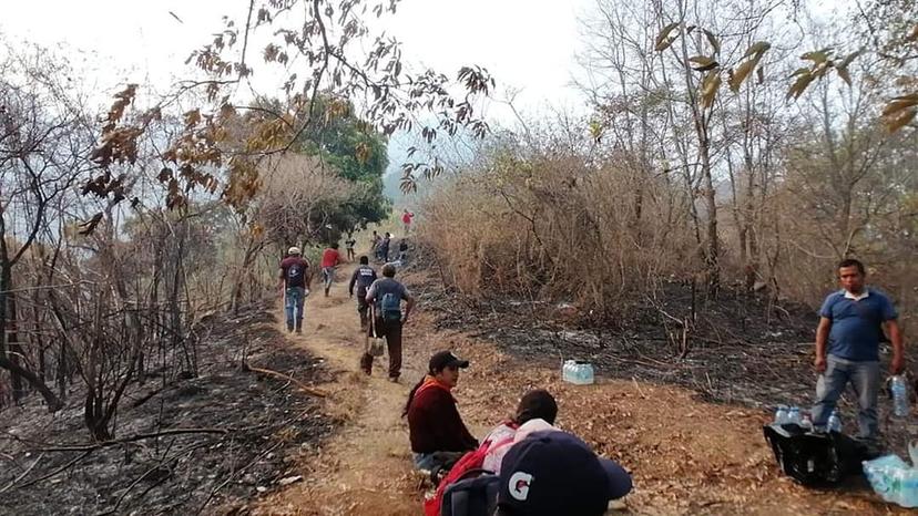 Continúan activos dos incendios forestales en la Sierra Negra