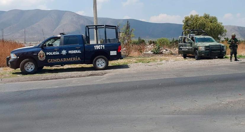 Sedena y Gendarmería realizan operativo en Palmar de Bravo