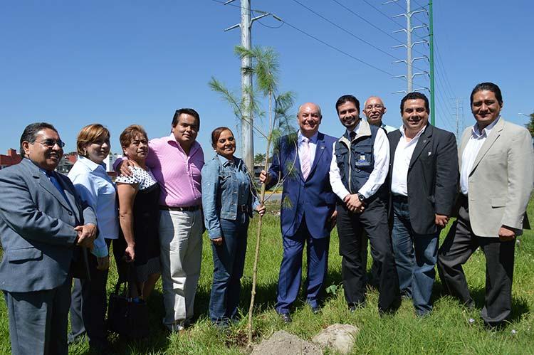 Plantan cientos de árboles al lado de la Recta a Cholula