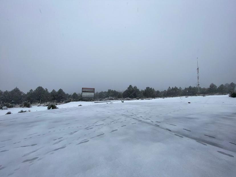 VIDEO Así fue la nevada en Paso de Cortés