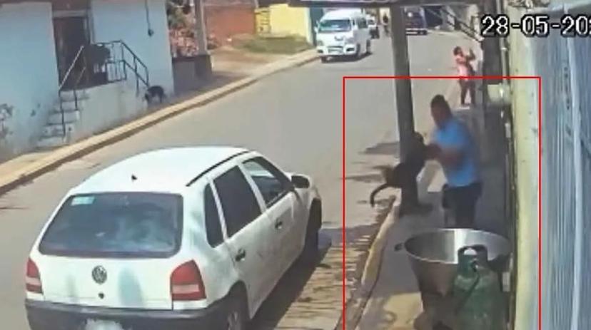 VIDEO Sujeto arrojó a un perrito a un cazo con aceite hirviendo