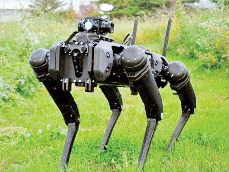 EU usa perros robot para vigilar frontera con México