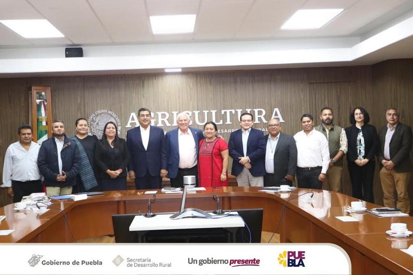 Presenta gobierno de Puebla estrategia para impulsar el agave mezcalero