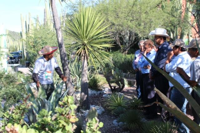 Planear ampliar oferta turística en Tehuacán-Cuicatlán