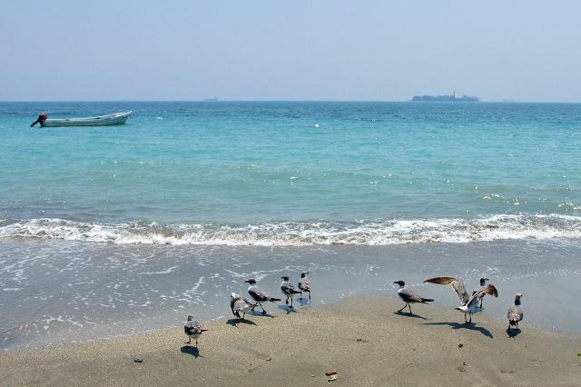 Senado impulsa reformas para desalinización del mar para uso agrícola