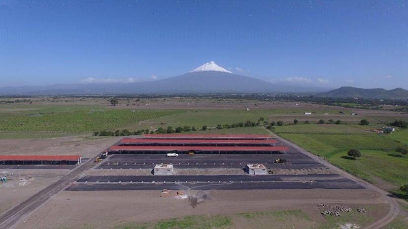 Por el Día de las Madres, aumentó 35% la venta de flores en Atlixco