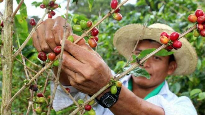 Arranca PNUD en Puebla plan para fortalecer la economía social