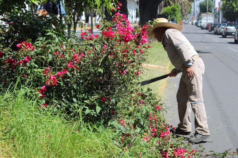 Dan mantenimiento de áreas verdes y parques en Puebla capital