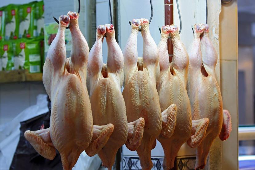 Sube 40 por ciento el costo del pollo en Izúcar