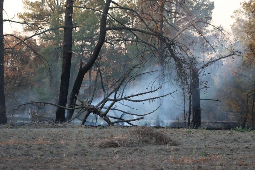 Cuatro lesionados por explosión en cohetería de Coronango