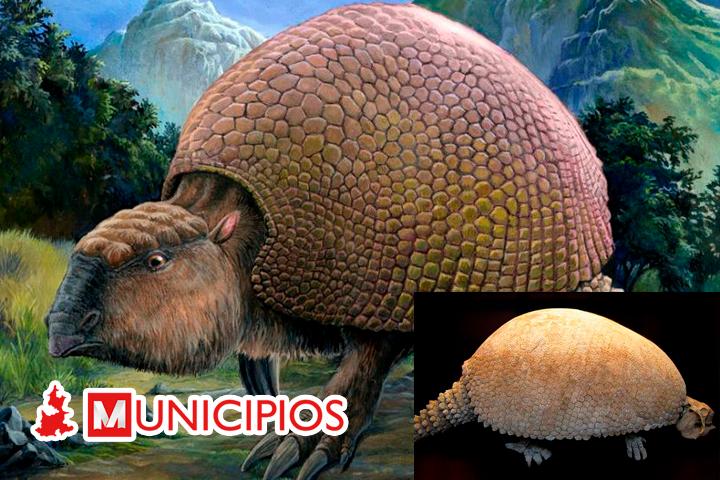 Conoce el fósil de más de 16 mil años de antigüedad en Felipe Ángeles