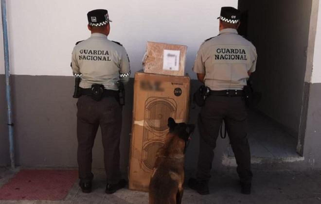 Interceptan 31 kilos de marihuana enviados a Tamaulipas y Michoacán