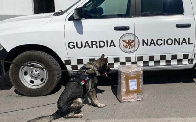 Frenan envío de paquete con 7 kilos de marihuana