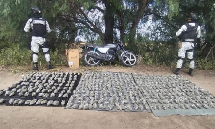 Aseguran 460 paquetes con marihuana listos para venta en Lagos de Moreno