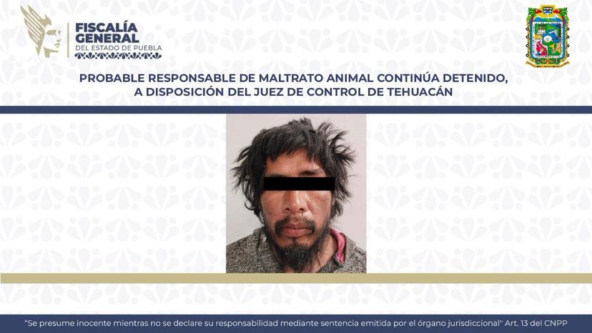 Agresor del lomito Huesitos continúa detenido en Tehuacán