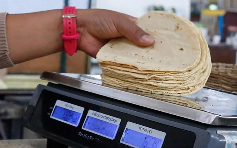 Equidad en inspecciones, pide Consejo Nacional de la Tortilla a Profeco