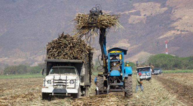 Ante amenaza de cárteles productores cañeros exigen seguridad en Chietla  