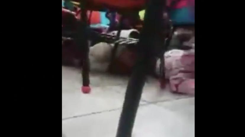 VIDEO Maestra protege a niños durante balacera en Nuevo Laredo