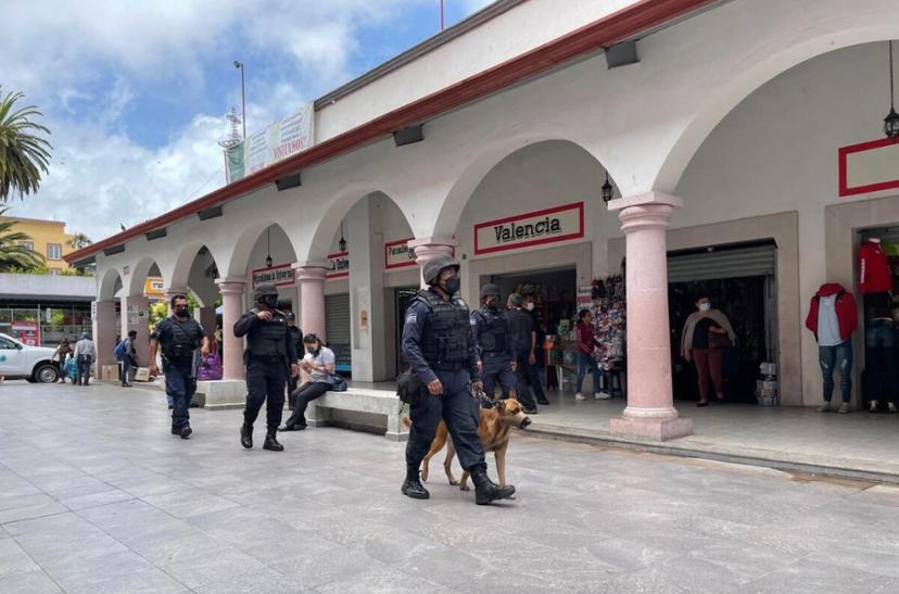Policías de Teziutlán en paro de labores, denuncian incumplimiento por parte del Ayuntamiento