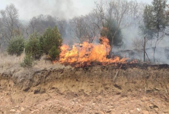 Incendio consume más de 15 mil árboles en cerro de Texmelucan